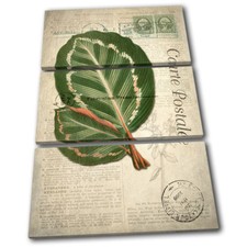 Green Leaf Tropical Vintage