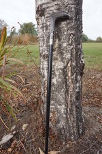 H5913 CANNE   TETE D AIGLE