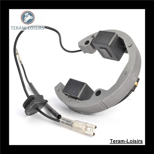 Stator alternateur pour ktm - pour, 50