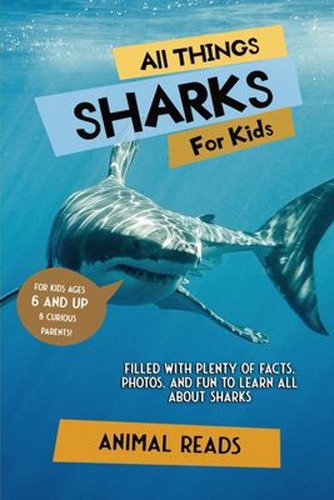 Tout sur les requins pour - sur,