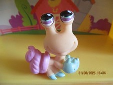 Petshop Bernard L'hermite