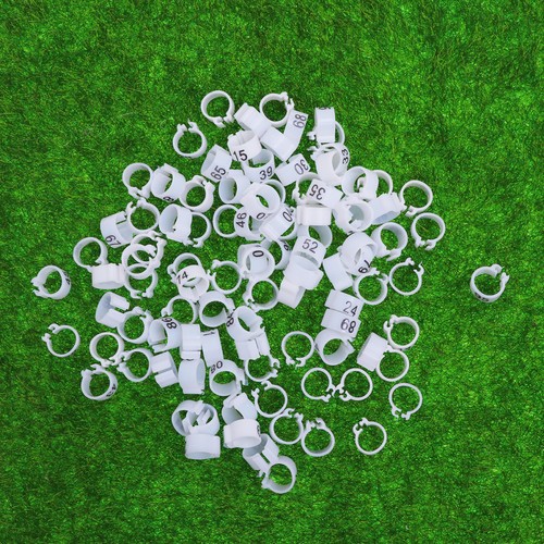 100 pcs anneaux - 100, de