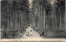 88 VAL D'AJOL - chemin sous bois vers plombieres