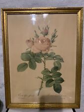 TABLEAU P.J. Redouté de rose. Vintage