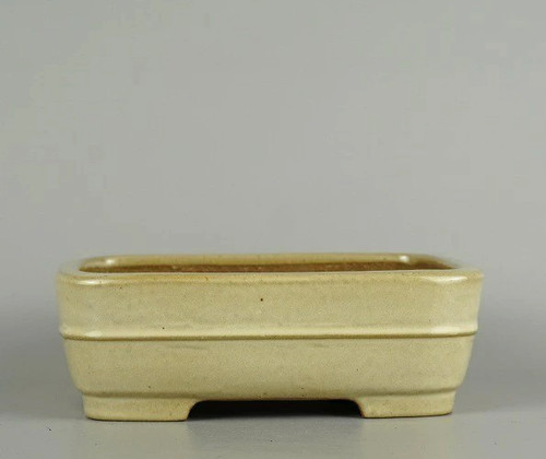 Pot bonsaï japonais - bonsaï,