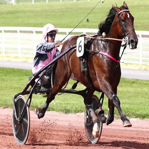 Méthode turf stabilotrot - :,