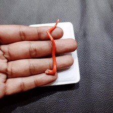 Véritable pierre précieuse