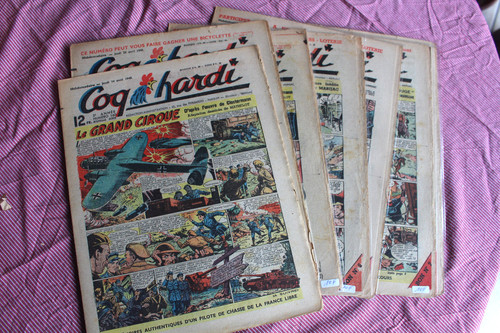 Coq hardi première - hardi,