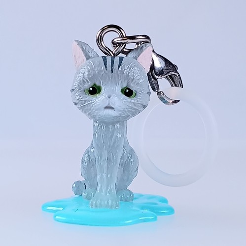 Accessoire marqueur chat - marqueur,