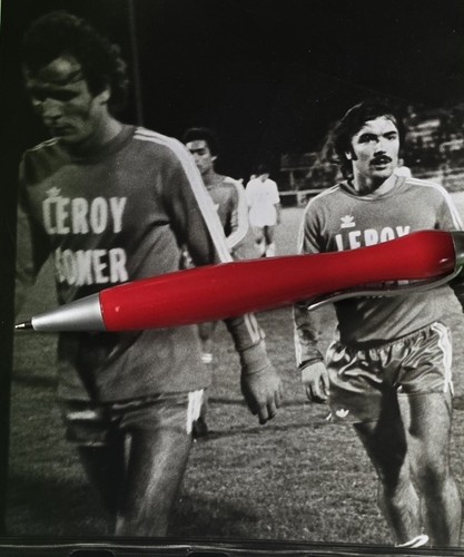 Photo alain pedini stade - photo, pepp