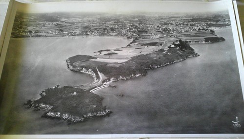 Photo lapie aerienne - photo,