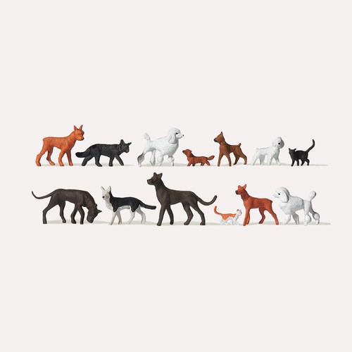Chiens chats merten - chats,