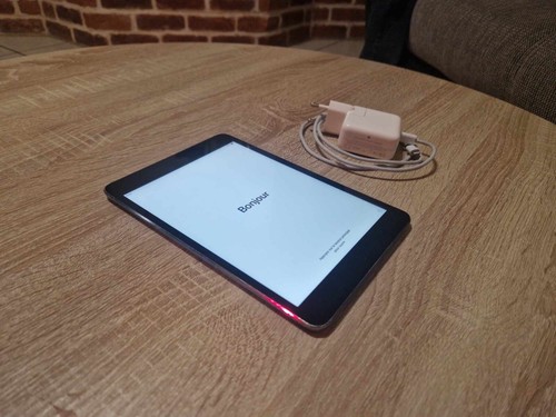 Ipad mini go - 2,
