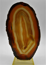 ( 01 ) MAGNIFIQUE TRANCHE D'