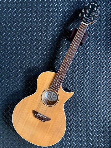 Guitare électrique acoustique