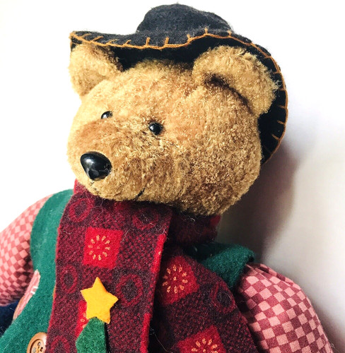 Prima christmas boy - boy, bear
