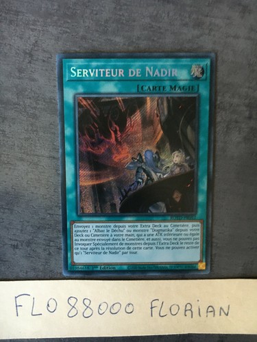 Serviteur de nadir - yu-gi-oh!,