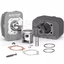 Cylindre MALOSSI Diamètre 46,5 Pour Italjet Pack 50 2T Axe de Piston 12 IN Fonte