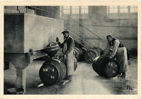 Cpa vin sortant du - vin,