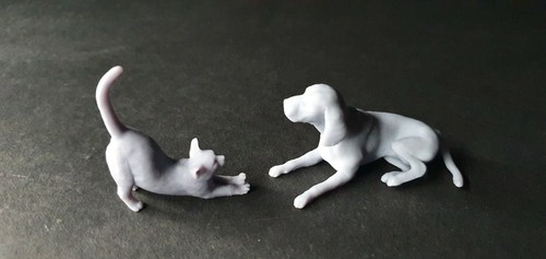 Jpgmodels a001 cat dog - ,