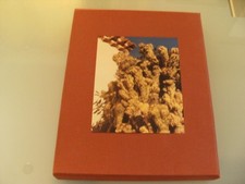 CHANEL Limited Art Photography Portfolio by Jamie Hawkesworth Défilé Croisière