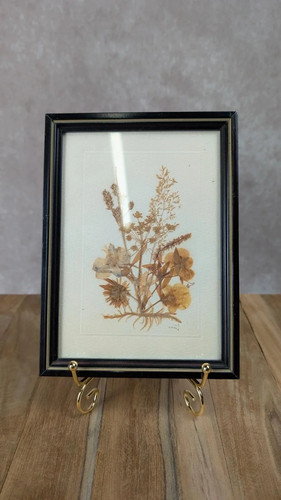 Petit cadre herbier ancien - , –