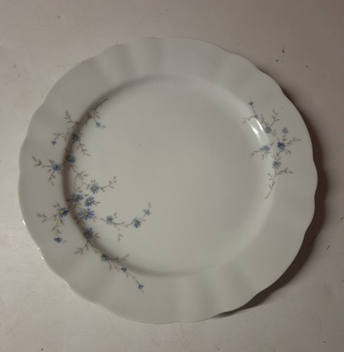 Assiette plate porcelaine - , fine