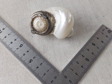 Ancien encrier / pilulier / tabatière, en coquillage nacré