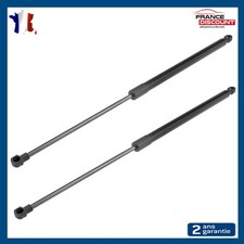 2 Vérins de coffre arrière pour Renault Grand Scénic 3 et Scénic 3 904500004R