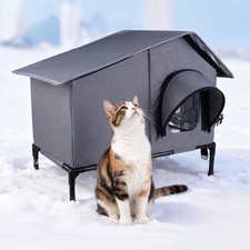 Abri pour chat isolé avec