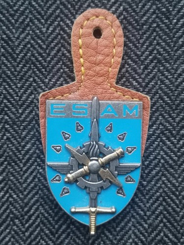 Insigne materiel esam - insigne,