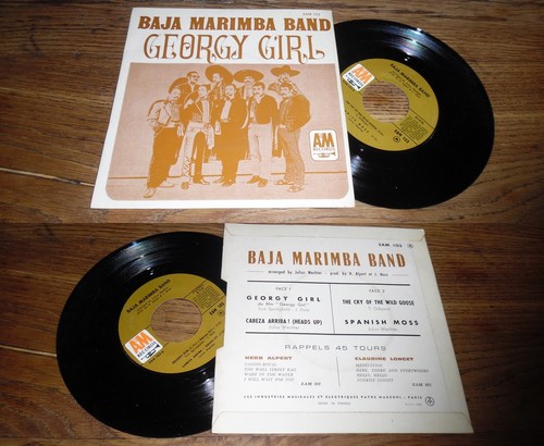 Baja marimba band georgy - –,