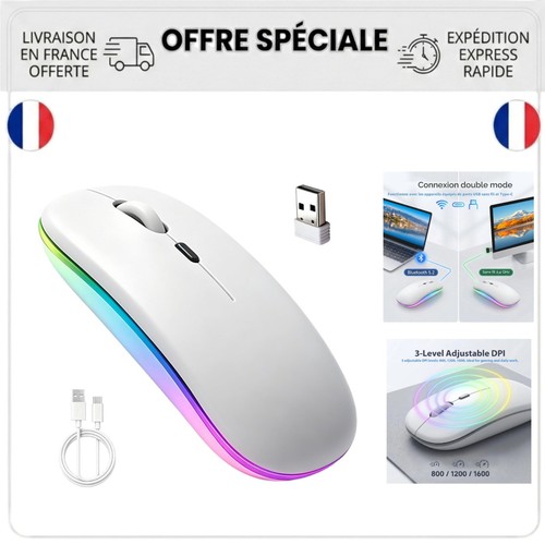 Souris sans fil rechargeable