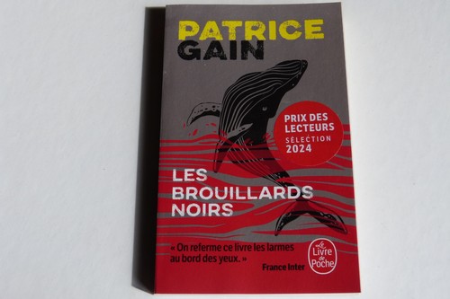 Patrice gain les brouillards - patrice,