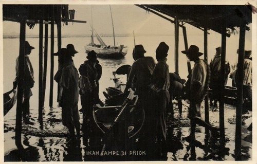 Cpa ikan sampe - pc, priok