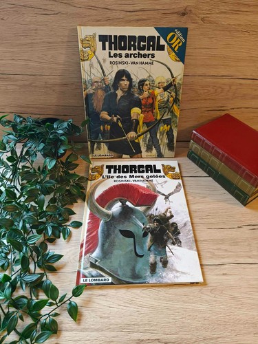 Thorgal pack 2 tomes - thorgal,