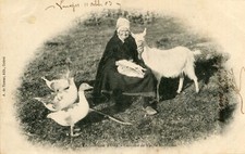 Creuse LOT 2 cartes Pays Marchois Marchoise gardeuse d'oies Amour couple patois