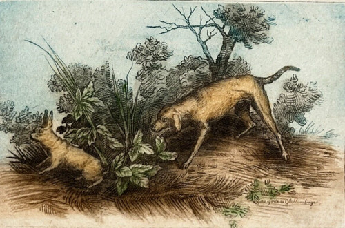 Chasse chien lievre gravure - chasse,