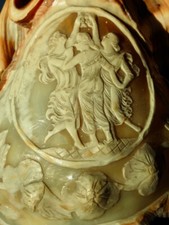 Cameo shell lamp lampe camée - cameo,