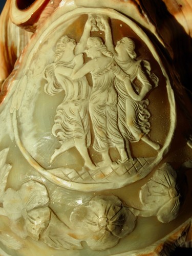 Cameo shell lamp - cameo, camÉe