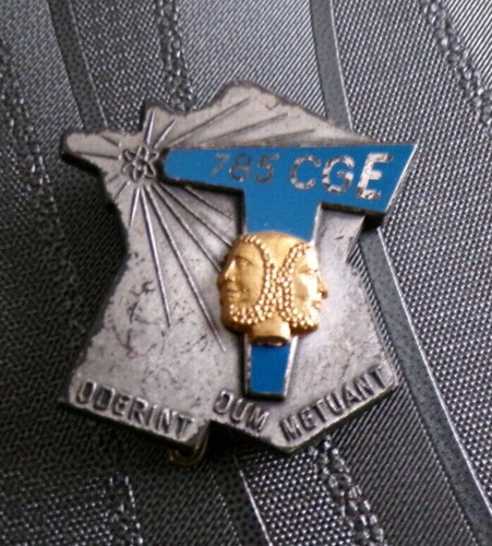 Insigne militaire 785 - insigne,