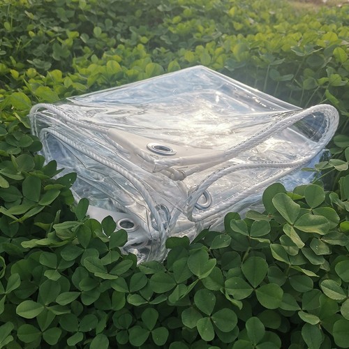 Bâche transparente 10mil avec - bâche,