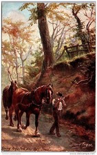 THEMES - CHEVAUX - deux chevaux et un fermier