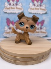 Littlest Petshop Pet Shop Lps