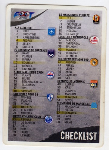 Panini foot cards 2009 - panini,