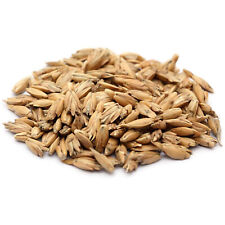 20kg Épeautre Dinkel - à