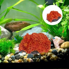  Décorations Aquarium Poisson De Poissons Pour Ornements D'aquarium