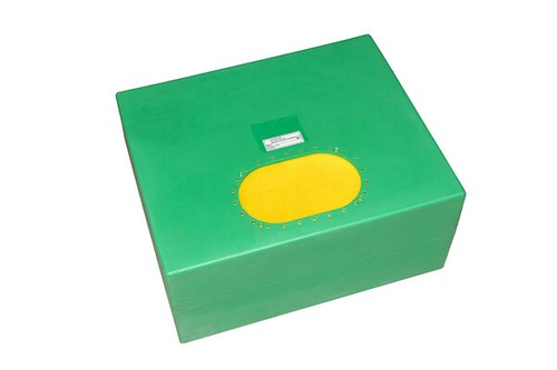 Vessie pile combustible - vessie,
