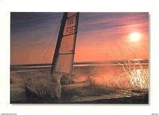 62 - Cote d'Opale - Char à Voile - Coucher de Soleil - CPM - Voir Scans Recto-Ve