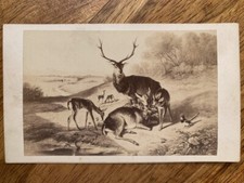 Photo Carte de Visite CDV